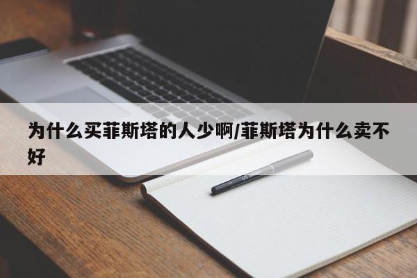 为什么买菲斯塔的人少啊/菲斯塔为什么卖不好