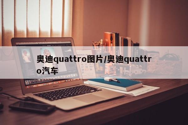奥迪quattro图片/奥迪quattro汽车