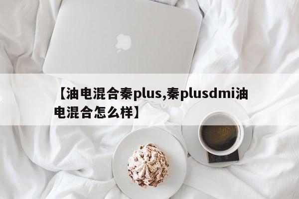 【油电混合秦plus,秦plusdmi油电混合怎么样】