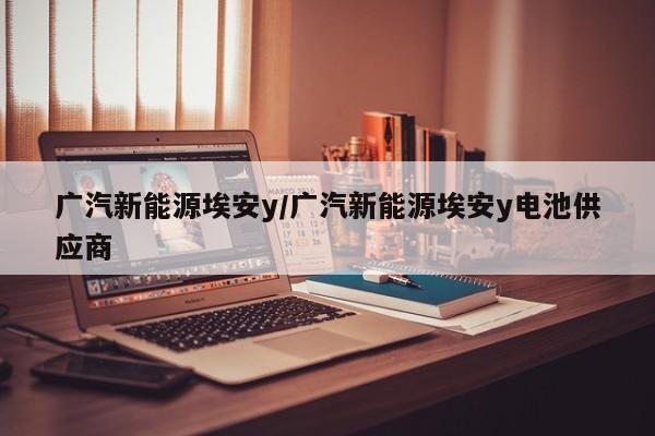 广汽新能源埃安y/广汽新能源埃安y电池供应商