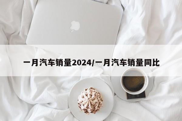 一月汽车销量2024/一月汽车销量同比