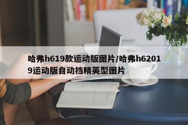 哈弗h619款运动版图片/哈弗h62019运动版自动挡精英型图片