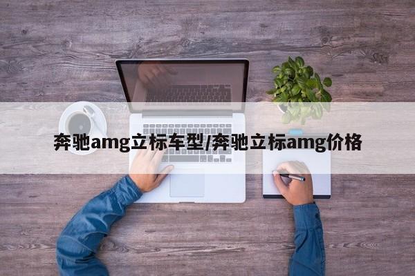 奔驰amg立标车型/奔驰立标amg价格